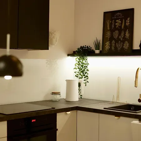 Kalwa Nest Stare Podgorze Appartement Cracovie
